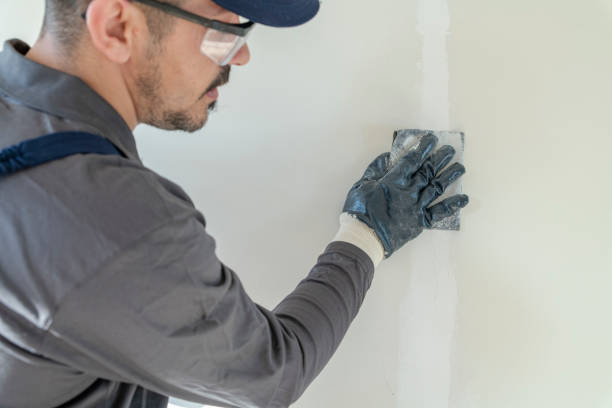 Best Emergency Mold Remediation  in Morgan City, LA