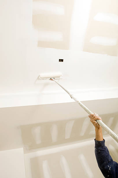 Best Black Mold Removal  in Morgan City, LA